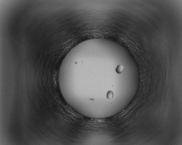 X0000052650768200507160223