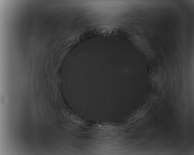 X0000052650769200507160222