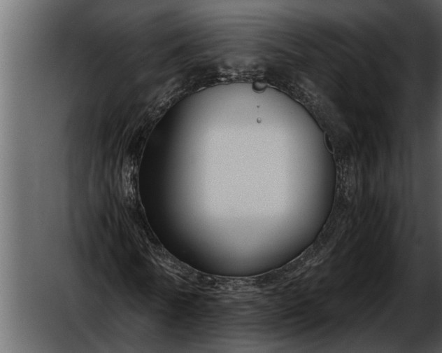 X0000052650770200507160222