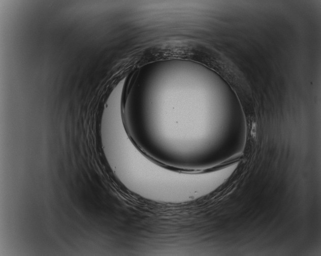 X0000052650771200507160222