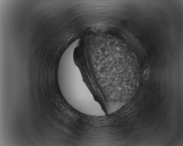 X0000052650772200507160222