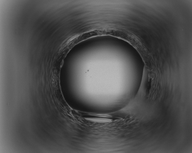 X0000052650773200507160222