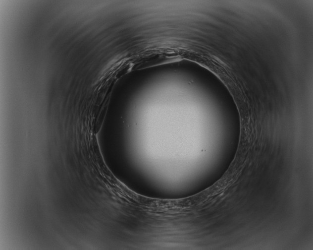 X0000052650774200507160222