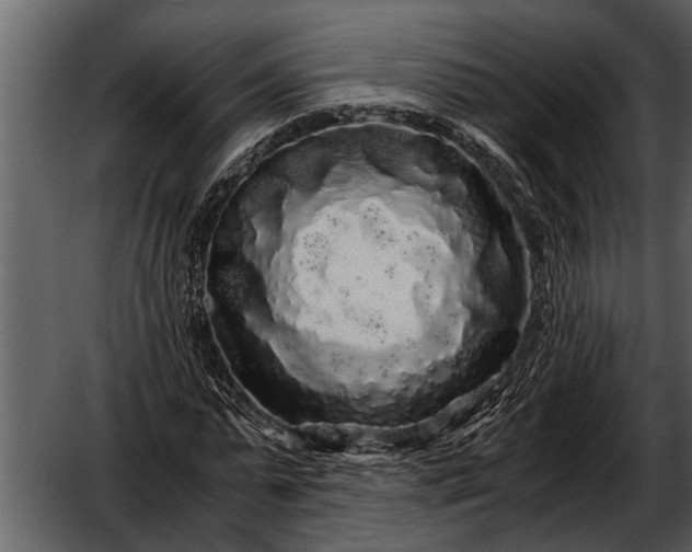 X0000052650775200507160222