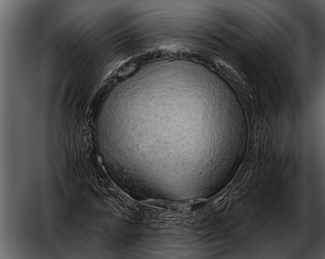 X0000052650776200507160222