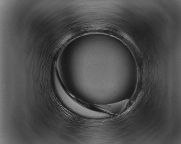 X0000052650777200507160222