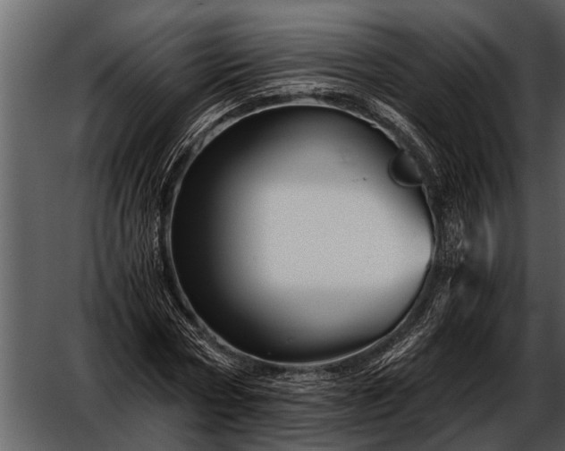 X0000052650778200507160222