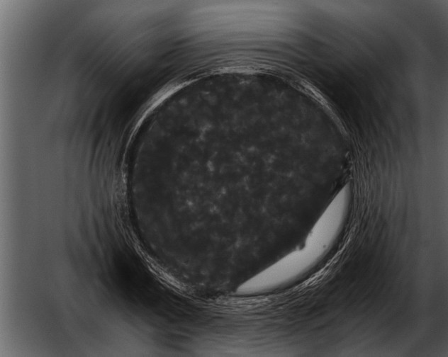 X0000052650779200507160222