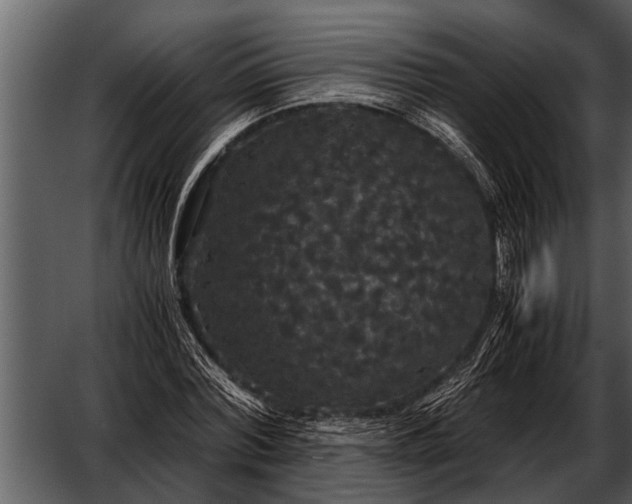 X0000052650780200507160222