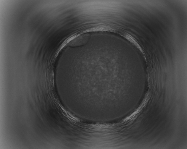 X0000052650781200507160222