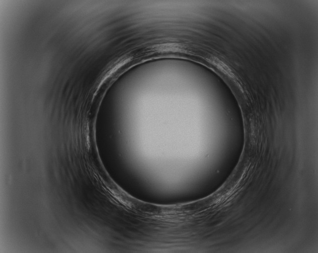 X0000052650782200507160222