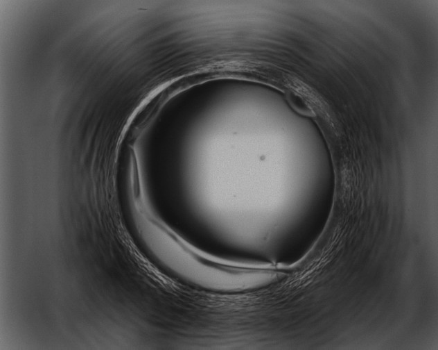 X0000052650784200507160222