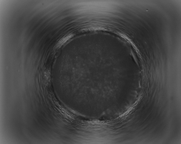 X0000052650785200507160222