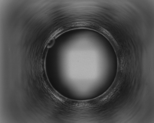 X0000052650786200507160222