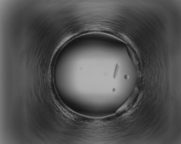 X0000052650787200507160222