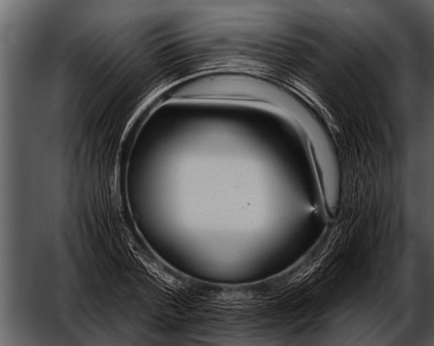 X0000052650788200507160222