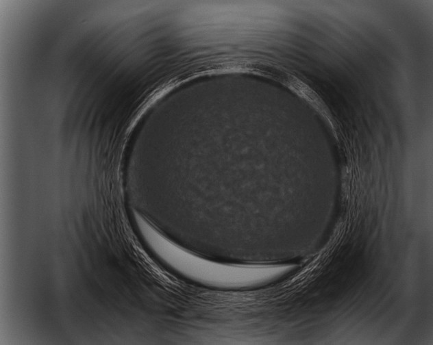 X0000052650789200507160222