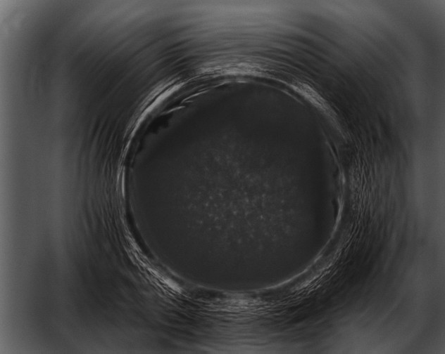 X0000052650790200507160222