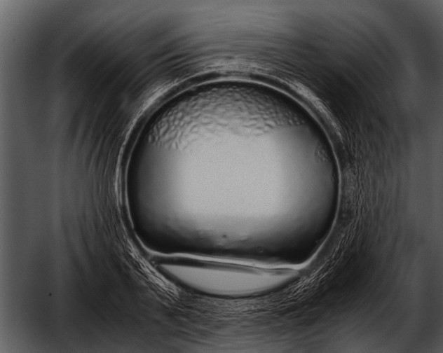 X0000052650791200507160222