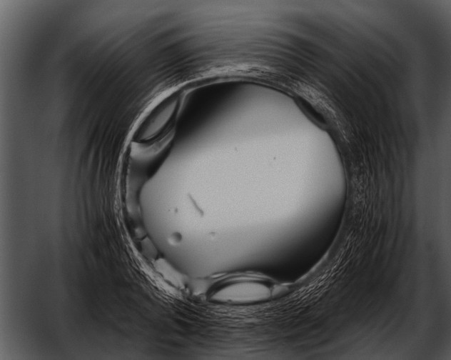 X0000052650792200507160222