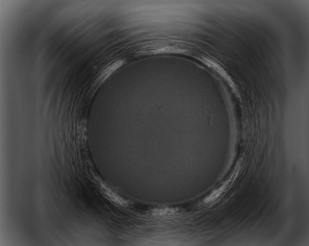 X0000052650793200507160222