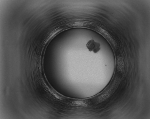 X0000052650794200507160222