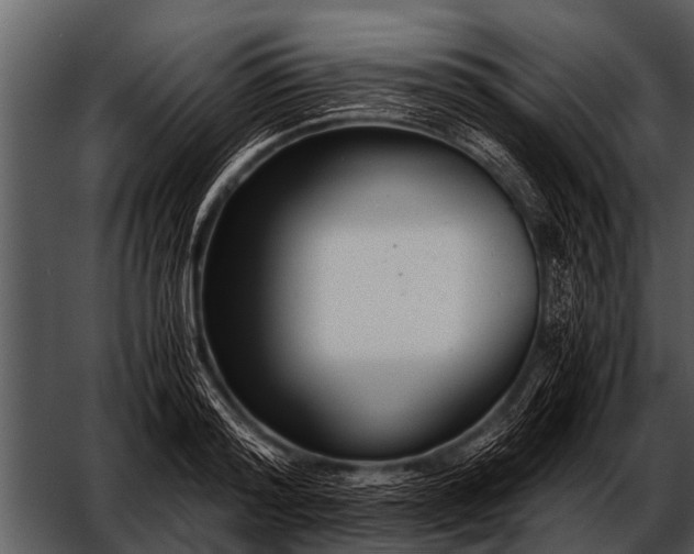 X0000052650796200507160222