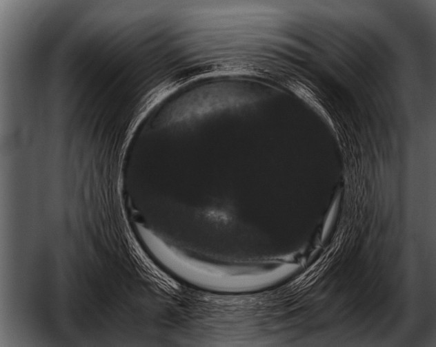 X0000052650797200507160222