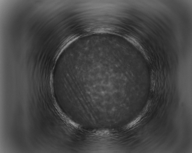 X0000052650798200507160222