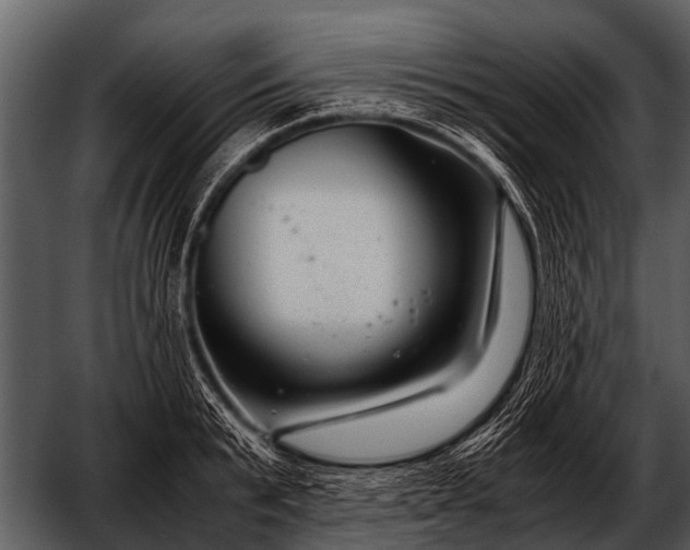 X0000052650799200507160222