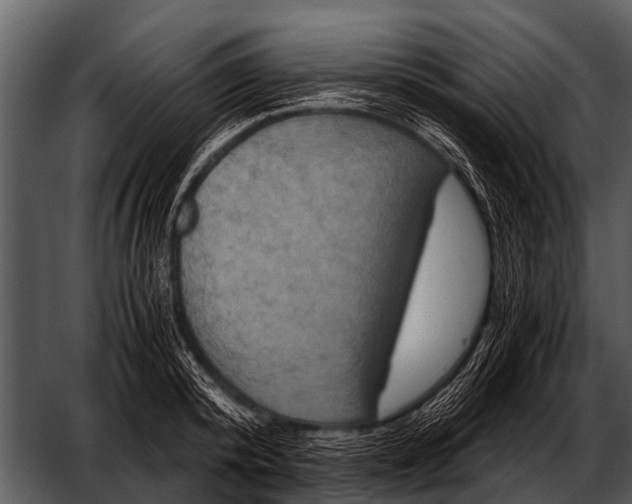 X0000052650800200507160222