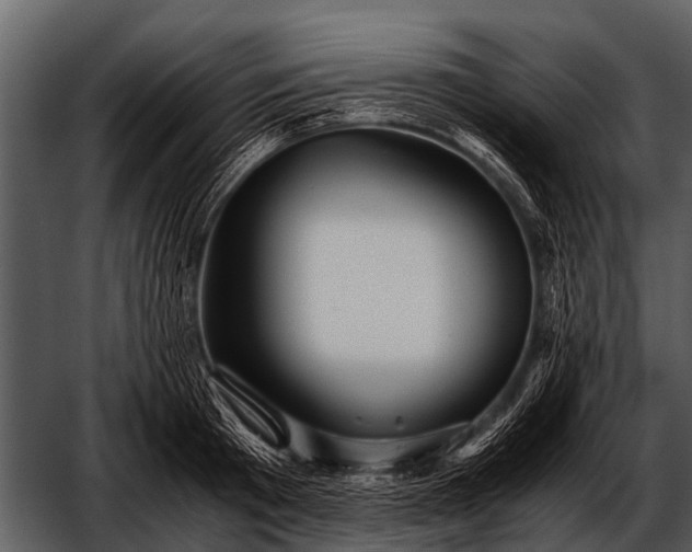 X0000052650801200507160222