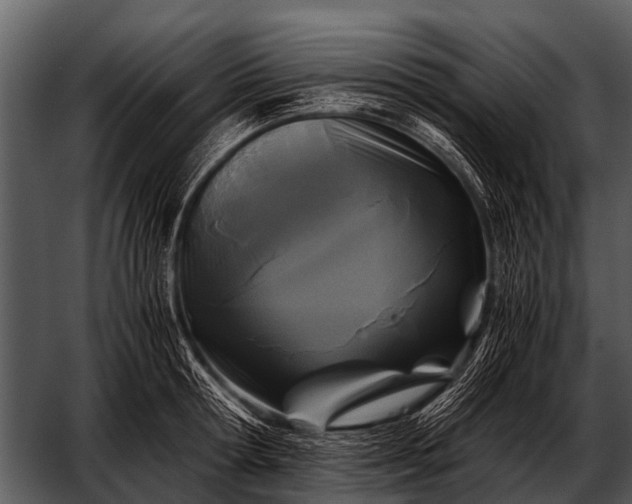 X0000052650802200507160222