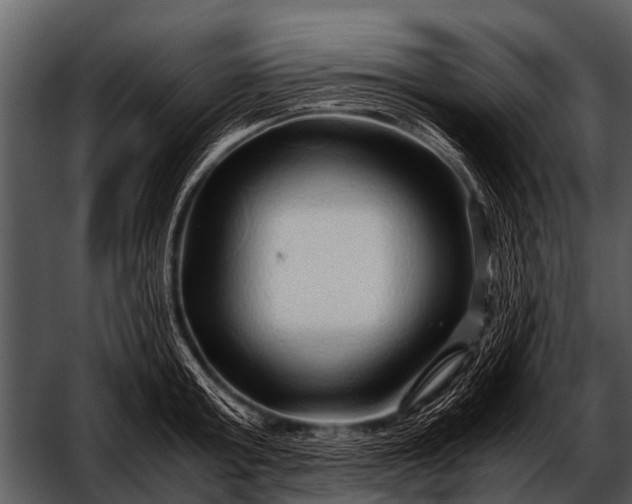 X0000052650803200507160222