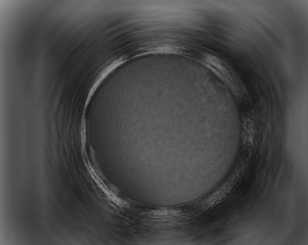 X0000052650804200507160222