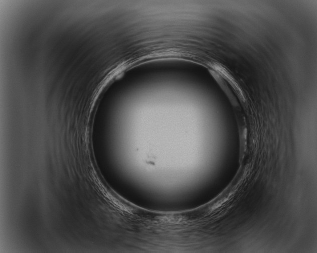 X0000052650805200507160221