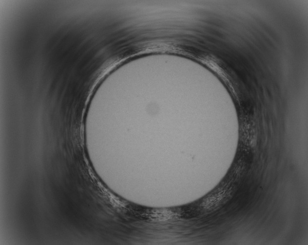 X0000052650807200507160221