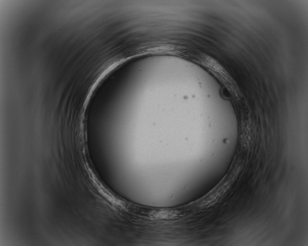 X0000052650808200507160221