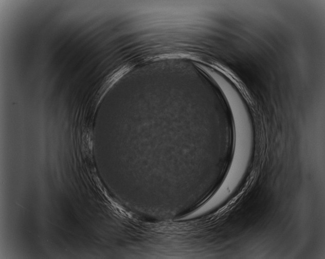 X0000052650809200507160221