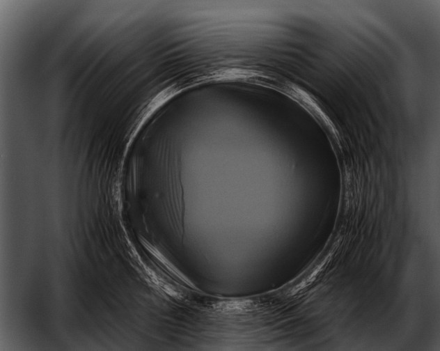 X0000052650810200507160221