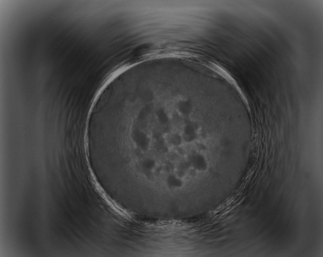 X0000052650811200507160221