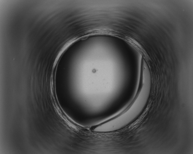 X0000052650812200507160221