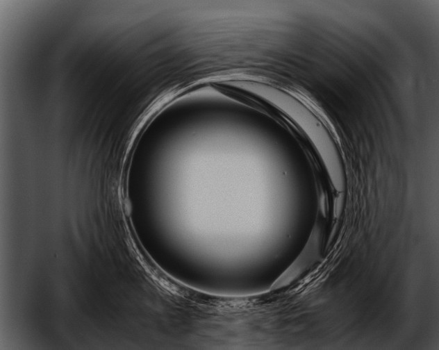 X0000052650813200507160221