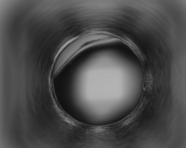 X0000052650814200507160221