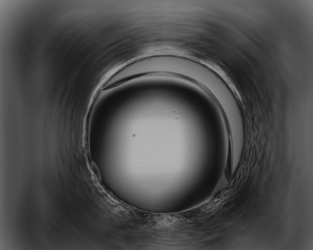 X0000052650815200507160221