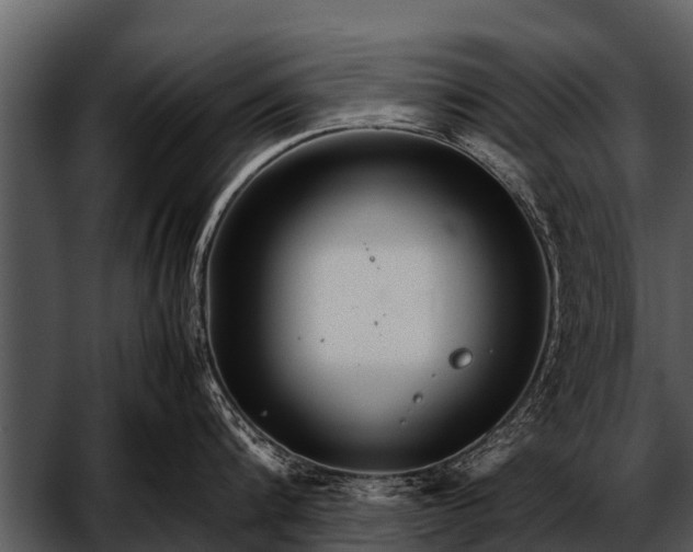 X0000052650816200507160221