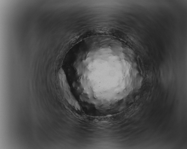 X0000052650817200507160220