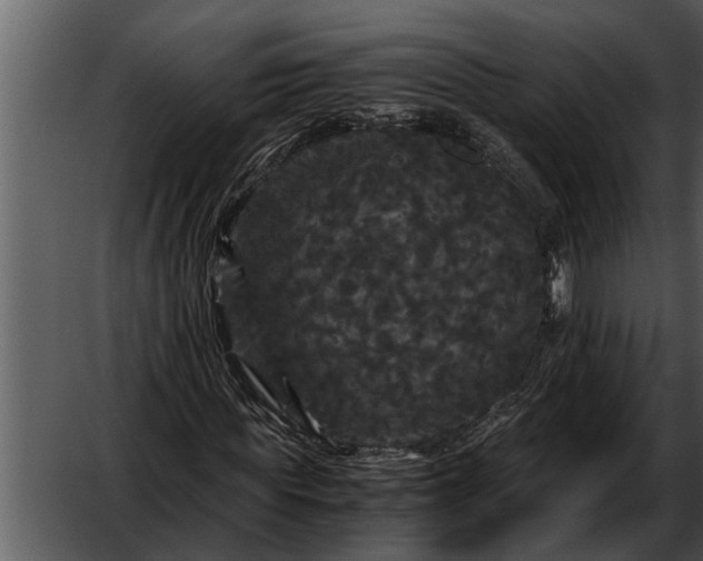 X0000052650819200507160221