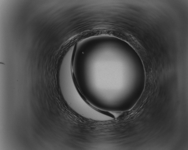 X0000052650821200507160221