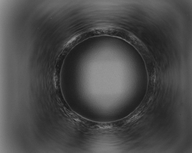 X0000052650822200507160221